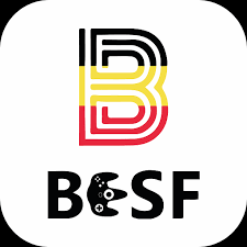 Partenaire BESF